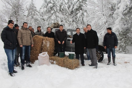 Çan'da Yaban Hayvanlarına Yem Desteği