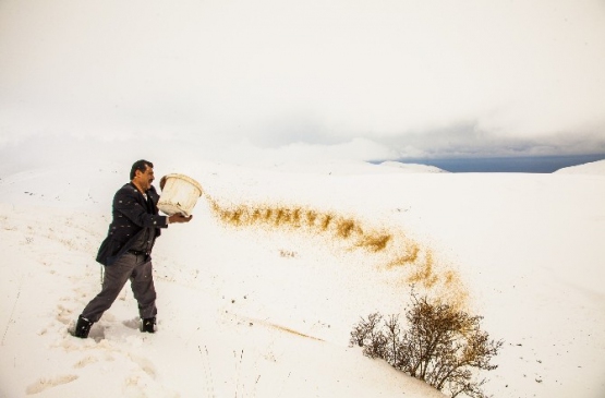 (Özel Haber) Yaban Hayvanları İçin Büyük Fedakarlık