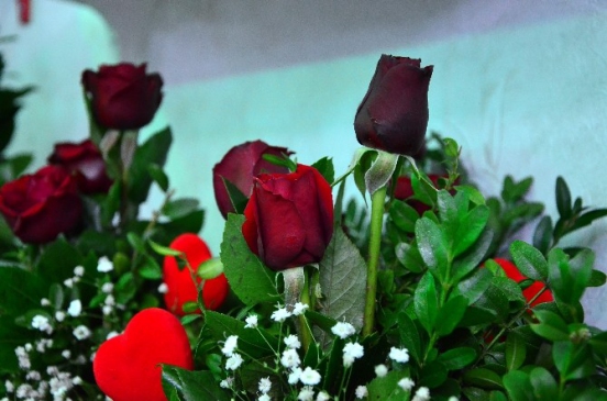 (Özel Haber) ''Gül''ü Seven Dikenine De Katlanıyor