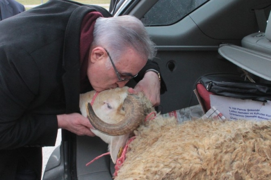 Ensar Öğüt Aracının Bagajında Meclis'e Koç Getirdi