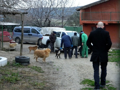 Gözleri Görmeyen Köpek Koruma Altına Alındı