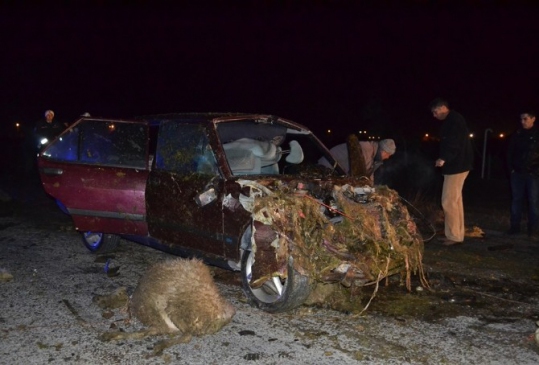 Otomobil Koyun Sürüsüne Çarptı 3 Yaralı