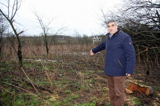 (Özel Haber) Lodos Bursalı Çiftçileri Yıktı Geçti