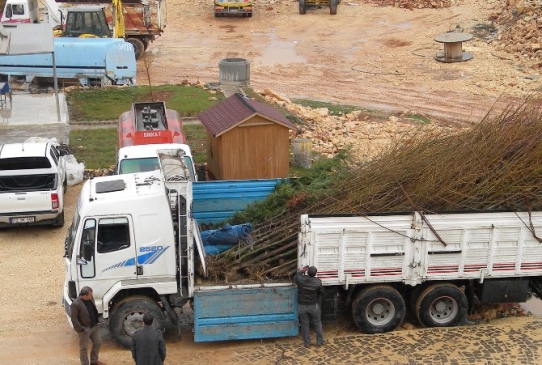 Mardin Artuklu Üniversitesi'ne Ağaç Desteği