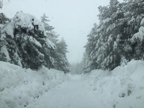 Malatya'da 22 Kırsal Mahallenin Yolu Açıldı