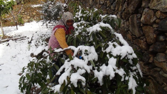 Antalya'da Kar Çiçek Açan Ağaçları Beyaza Bürüdü