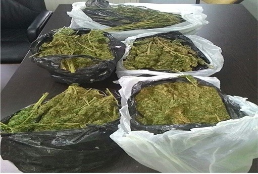 Denizli'de Uyuşturucu Operasyonu 4 Tutuklama