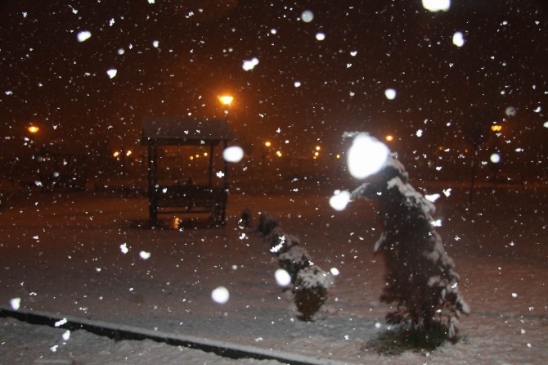 Gaziantep Beyaza Büründü