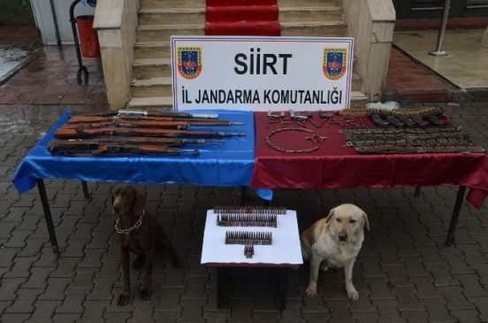 Siirt'te Silah Ve Mühimmat Ele Geçirildi