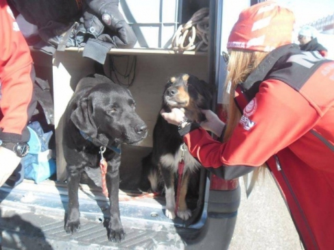 3,5 Metre Karda Uluslararası Tatbikat