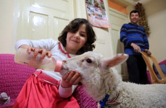 Milas'ta Lösemiye Karşı Hayvan Terapisi