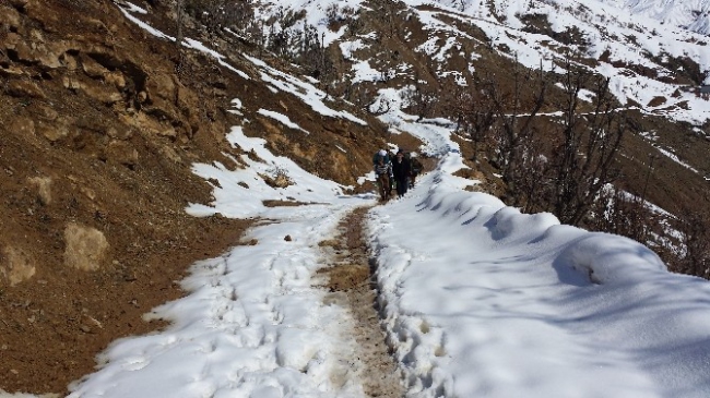 Köydeki Hasta 5 Saatte Hastaneye Ulaştırıldı