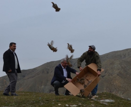 Pertek Belediyesi'nden Yaban Hayatını Koruma Ve Geliştirme Çalışmaları