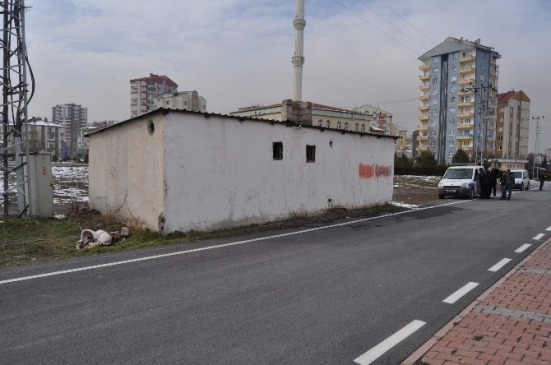 Oyun Oynayan Çocuklar Uçaksavar Mermisi Buldu