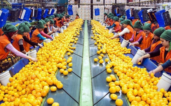 Egeliler Gıda Sektöründe Ar-Ge Ve İnovasyona Önem Veriyor