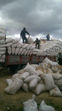 Saman Yüklü Kamyonda 60 Kilo Esrar Ele Geçirildi