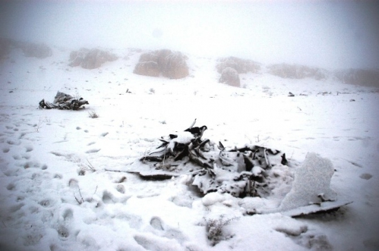 DÜşen Uçakların Enkazı İş Makineleriyle Toplanıyor