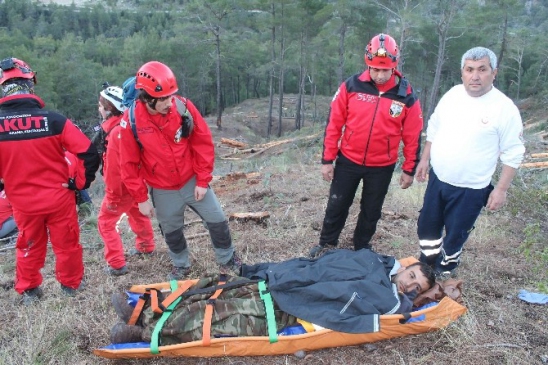 Mantar Ararken Üzerine Tomruk DÜştü