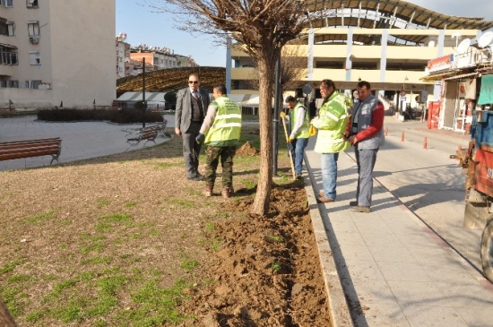Nazilli Park Yeşil Alan Ve Refüjlerde Bahar Hazırlığı
