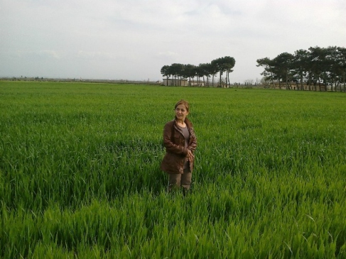 Mazot Gübre Ve Toprak Analizi Desteği Ödemesi Başladı