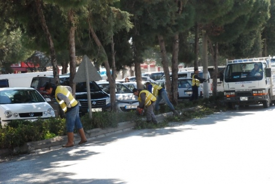 Aydın Büyükşehir Didim'de Temizlik Çalışması Gerçekleştirdi