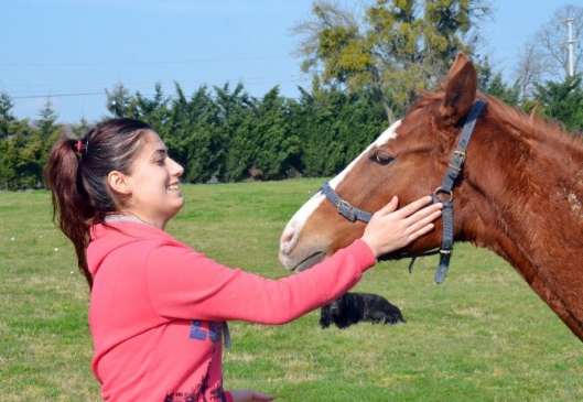 Yarış Atlarını Çalan Hurdacılar Serbest Kaldı