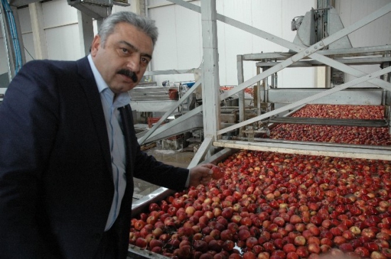 Karaman'da Elma Üreticisi Beş Yıldır Teşvik Bekliyor