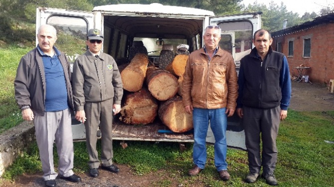 Marmaris'te Tomruk Kaçakçılığı