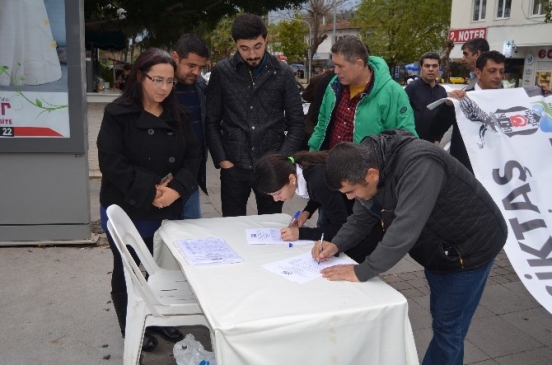 Beşiktaşlılardan Fethiye'nin İl Olması İçin Destek