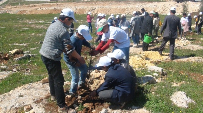 Şanlıurfa'da 21 Mart Dünya Ormancılık Günü'nde 200 bin fidan dikildi.