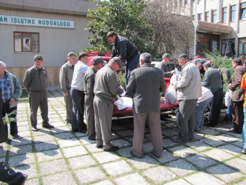 Vezirköprü'de Dünya Ormancılık Haftası Kapsamında 5 Bin Fidan Dağıtıldı