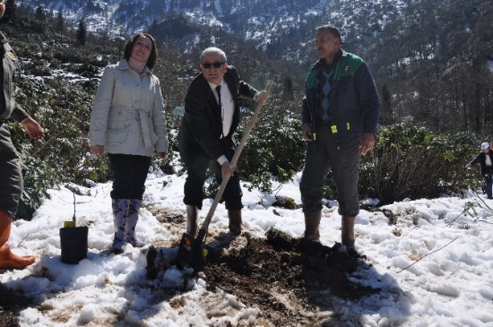 Giresun Merkez'de Bereket Ormanları Kapsamında Fidanlar Dikildi