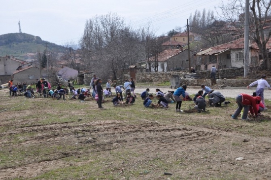 Bilecik Bozüyük'te Öğrenciler Fidan Dikim Etkinliği Gerçekleştirdi