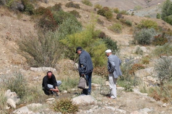 Bayburt Çoruh Havzası'nda Çiftçilere 50 Ton Yem Bitkisi Tohumu Desteği Yapılacak