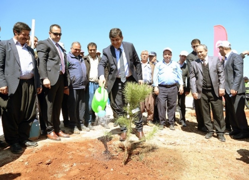 Şehitkamil'de "Bi Dünya Yeşil" Projesi Kapsamında 4 Bin 200 Fidan Dikildi