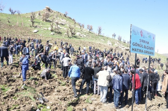 Şırnak'ta Hatıra Ormanı İçin 9 Bin Fidan Dikimi Gerçekleştirildi