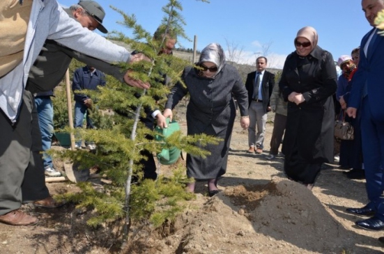 Erzincan'da Gönül Elçileri İle Bereket Ormanı Projesi Hayata Geçirildi