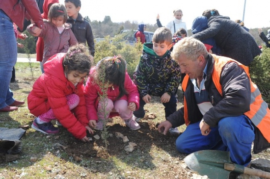 Bozüyük'te Öğrenciler, Kent Ormanı'na 555 Selvi Fidanı Dikti