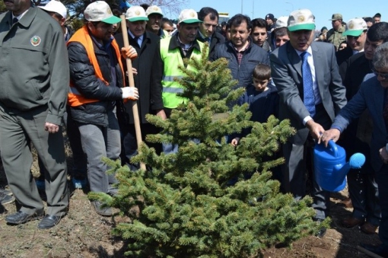 Erzurum'da Gönül Elçileri Projesi Kapsamında Fidan Dikimi Gerçekleştirildi
