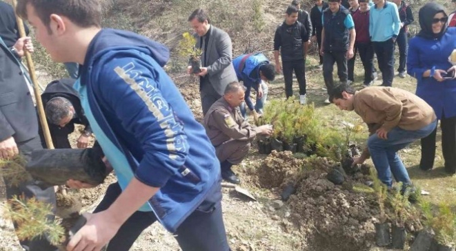 Kütahya Şaphane'de 75. Yıl İlkokulu Öğrencilerine Çam Fidanı Dikildi