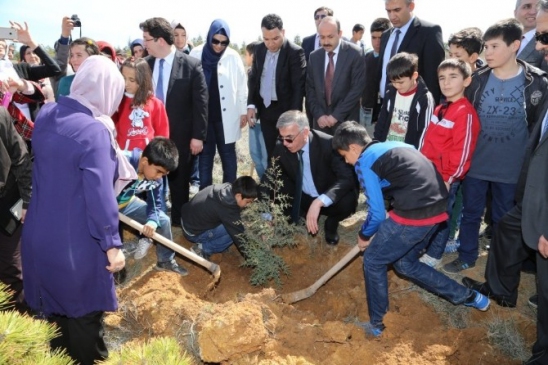Aksaray'da 'Bereket Ormanı' Projesi Kapsamında Fidan Dikimi Gerçekleştirildi