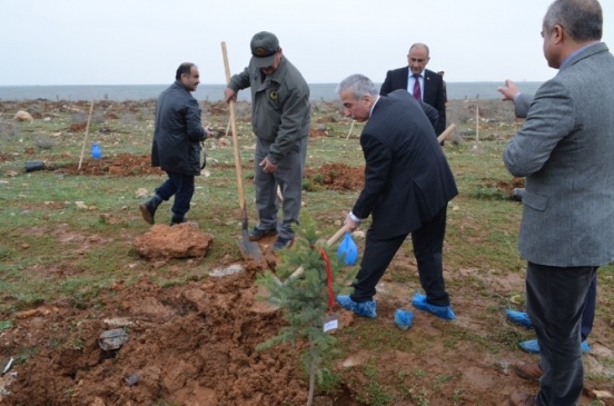 Malatya'da 'Gönül Elçileri' Projesi Kapsamında Fidan Dikimi Gerçekleştirildi