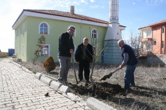 Yozgat İmamoğlu Camii Cemaati, Bahar Mevsiminde Bahçe Düzenlemesi ve Fidan Dikti