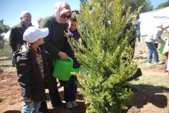 Gaziantep'te Bereket Ormanları Projesi Kapsamında Fidan Dikimi Gerçekleştirildi