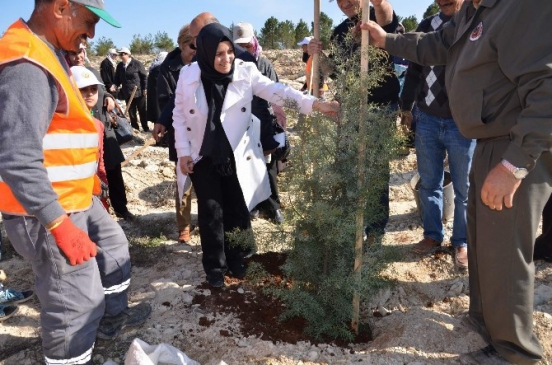 Kilis'te Gönül Elçileri Projesi Kapsamında 1000 Fidan Dikildi