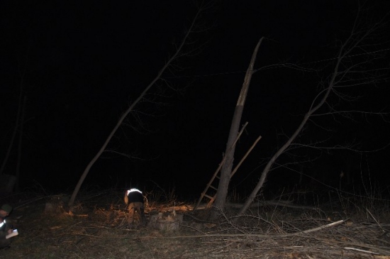 Konya Ereğli'de Kestiği Ağacın Altında Kalan İşçi Hastanede Öldü