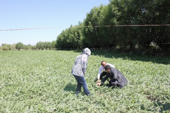 Mazot, Gübre ve Toprak Destek Başvuruları 30 Nisan'a Kadar Uzatıldı