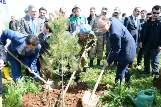 Siirt'te Gönül Elçileri Projesi Kapsamında Fidan Dikimi Gerçekleştirildi