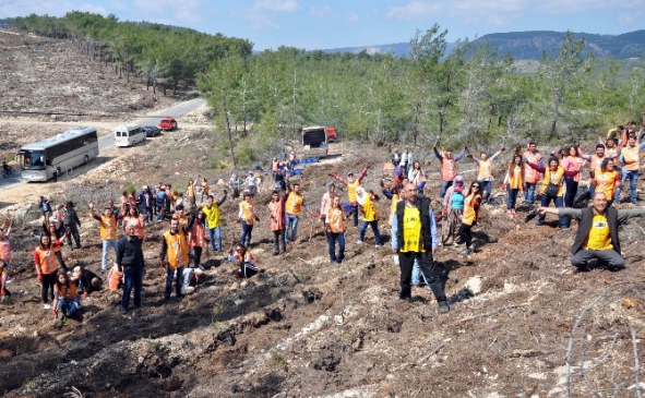 Mersin Erdemli'de TEMA Gönüllüleri ile Orman İşletme Müdürlüğü Fidan Dikti