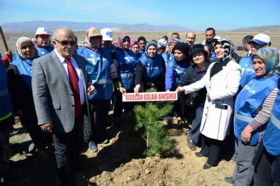 Kırşehir'de Gönül Elçileri Projesi Kapsamında Fidan Dikimi Yapıldı
